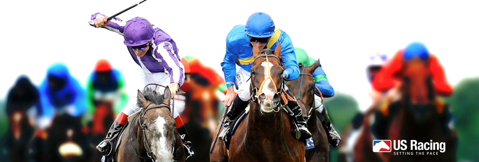 Bet on the Breeders' Cup