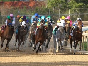 Rainbow Stakes at Oaklawn Park