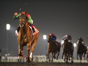 Bet Dubai World Cup Odds