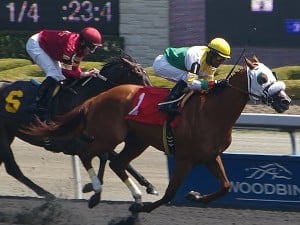 Woodbine Star Shoot Stakes