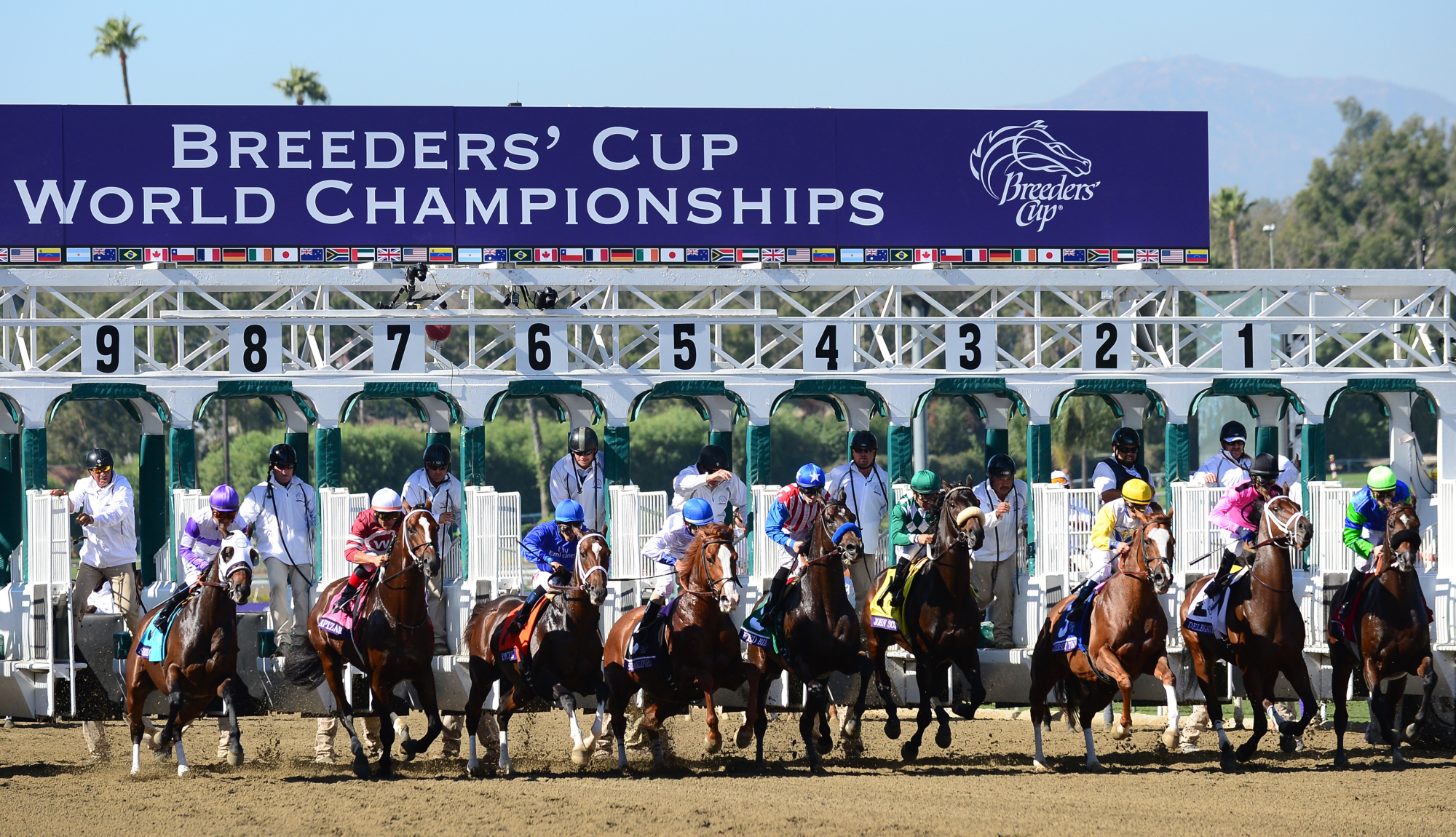How To Wager On The Breeders' Cup | Online Horse Betting