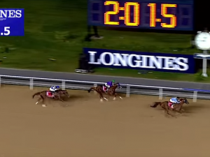 California Chrome looks to avenge his loss in the 2015 Dubai World Cup, in which he finished second to Prince Bishop.