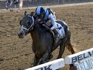 Tapwrit winning the Belmont Stakes (photo by Chelsea Durand/NYRA)