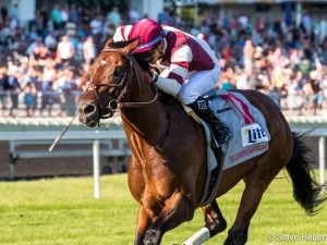 Divisidero at Arlingtont Park Handicap