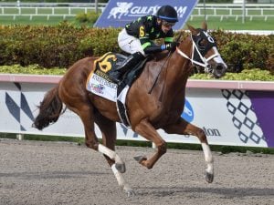 Stormy Embrace - Princess Rooney