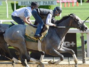 Tacitus - Photo Courtesy of NYRA
