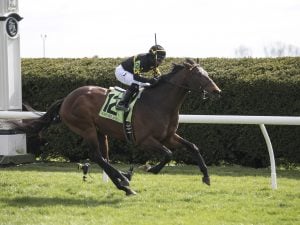 Bound For Nowhere - Photo by Jordan Thomson