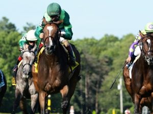 Sistercharlie The Diana