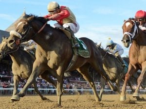 Preservationist_woodward