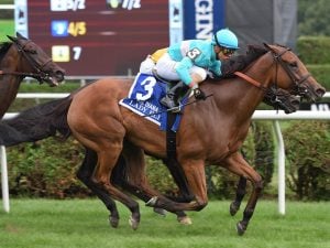 Lady Eli
