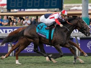 Bricks And Mortar horse