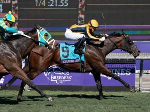 FourWheelDrive-winner