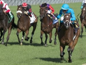 Starship Jubilee Horse