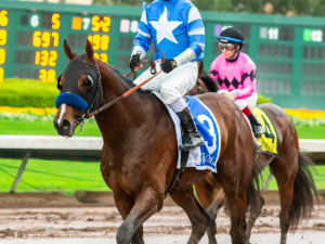 thousand words horse