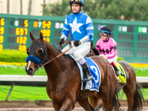 Thousand Words Horse