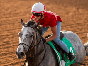 Saudi Cup Tacitus Betting: Favorite or Another Teaser?