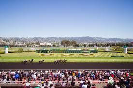 Racetrack Slang and Jargon: Just Sayin! Understanding All About It