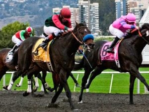 Kentucky Derby Betting Prep Races: Camino Real Derby