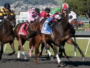 Kentucky Derby Betting Prep Races: Camino Real Derby