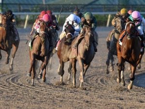 Kentucky Derby Qualifiers: Fountain of Youth Favorites