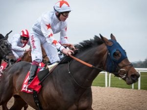 Saudi Cup Betting Odds Gronkowski: Horse Racing Profile