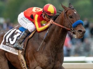 Saudi Cup Betting Odds McKinzie: Horse Racing Profile