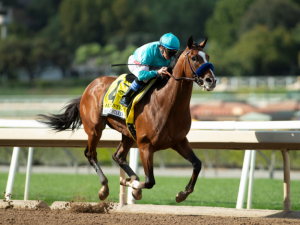 Authentic San Felipe Stakes