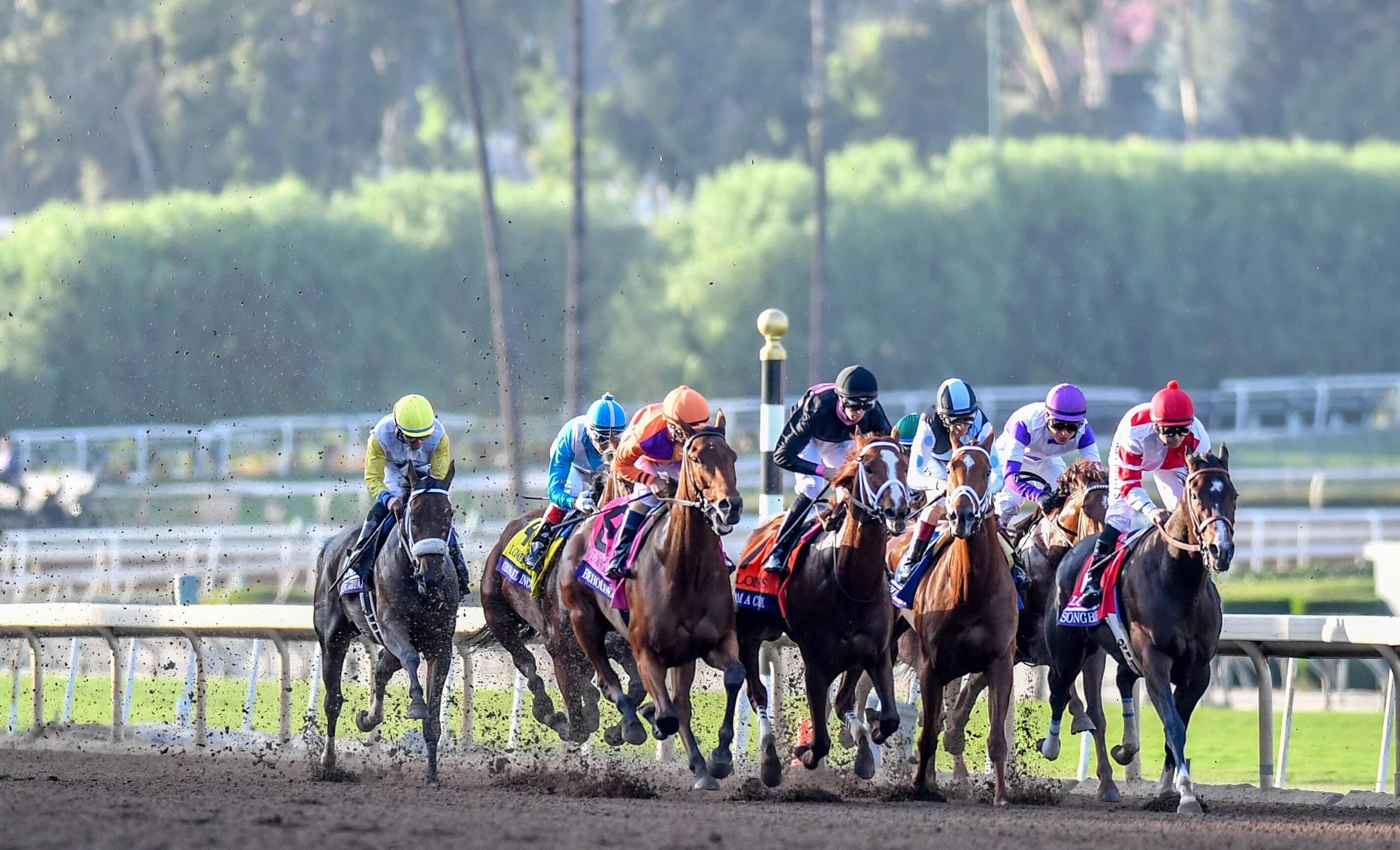Derby Top 10: Essential Quality Still No. 1; Life Is Good In Spotlight ...