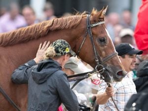 Horse Racing Gives Fans a Chance to Wager on Live Sports