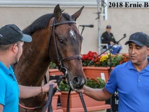 Kentucky Derby Coronavirus: No Spectators, Or No Race At All?
