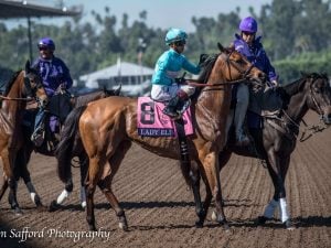 Kentucky Derby Postponed