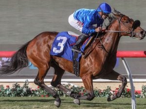 Louisiana Derby Betting Odds: Prep Race Preview