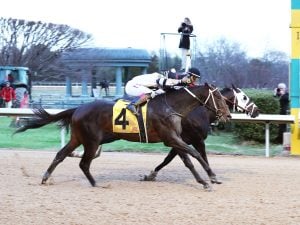 Oaklawn Park Betting Odds