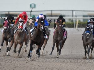 Rebel Stakes Betting Odds