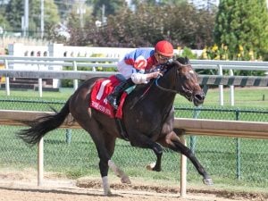 Santa Anita Park Cancels Live Horse Racing