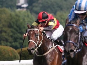 6 Tips For Spring Cleaning Your Handicapping