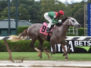 Late Pick 4 Perspective for Arkansas Derby Day at Oaklawn