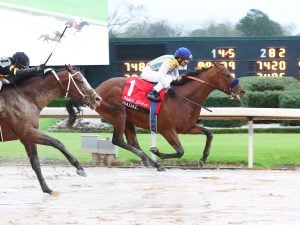 Arkansas Derby History: A Look Into This Split Race