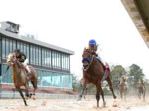 6 Steps to Developing, Maintaining Good Handicapping Habits