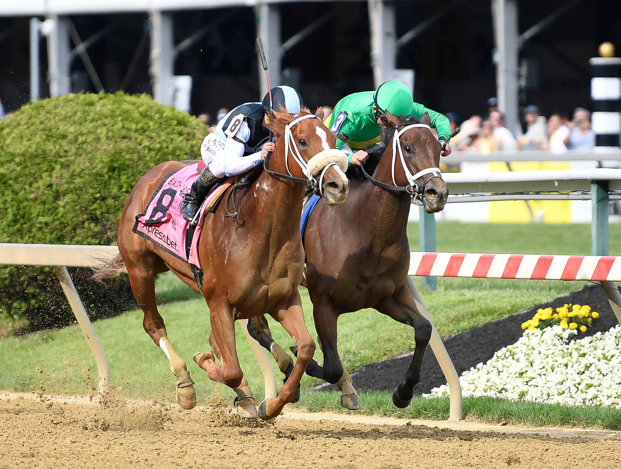 The Farrell Report: New Derby Contenders Pop Up After Preps | Horse ...