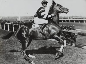 From bloodthirsty to blueblood: Countess Margit Batthyany, her racehorses, and her appalling past - Courtesy of unsplash.com