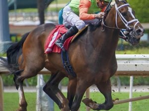 4-Way Race for Oaklawn Riding Title; Diodoro Leads Trainers, Asmussen Slumps