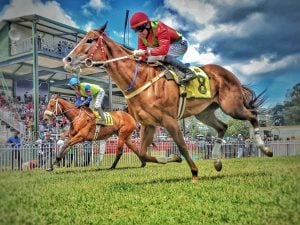 Will Rogers, Fonner Park Shed Light for Horseplayers on Dark Days