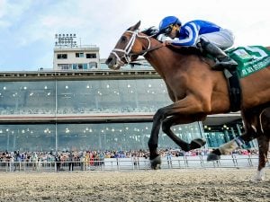 By My Standards - Eclipse Sportswire