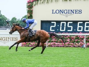 Lord North at Royal Ascot