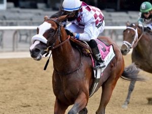 Tiz the Law and Manny Franco at Belmont Stakes 2020