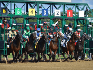 Saratoga Race Course - US Racing Photo