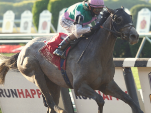 Tacitus at Suburban Stakes