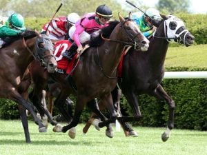 War of Will - Courtesy of Keeneland