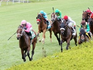 Zulu Alpha - Photo Courtesy of Keeneland